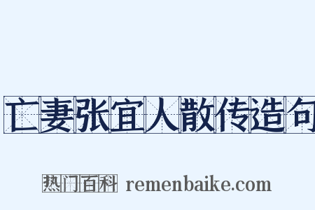 亡妻张宜人散传造句是什么意思的图片